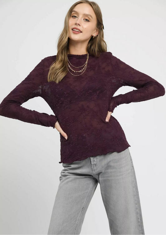 Lace Sheer Long Sleeve Top